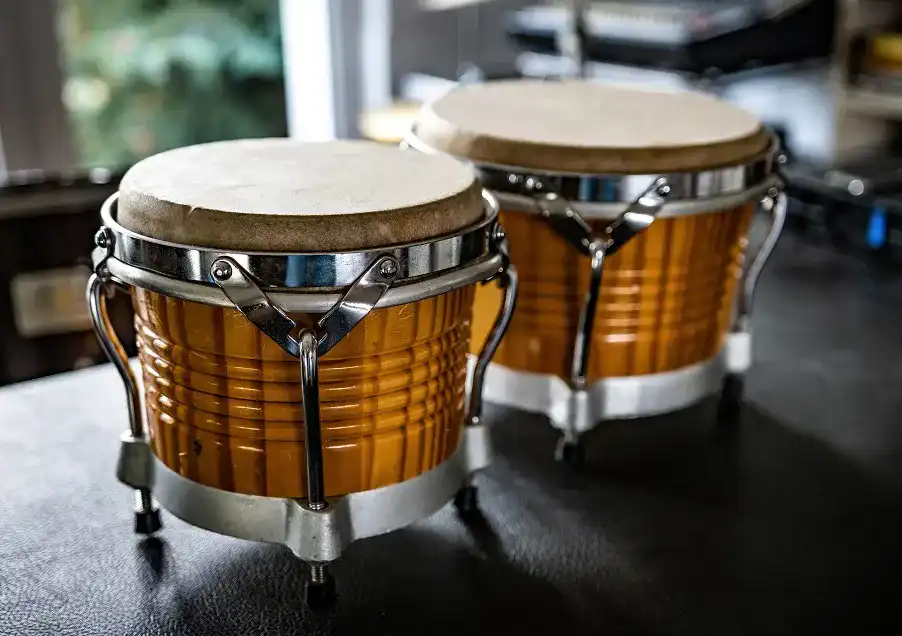 Bongo Bongo