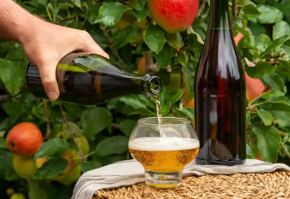 Cider
