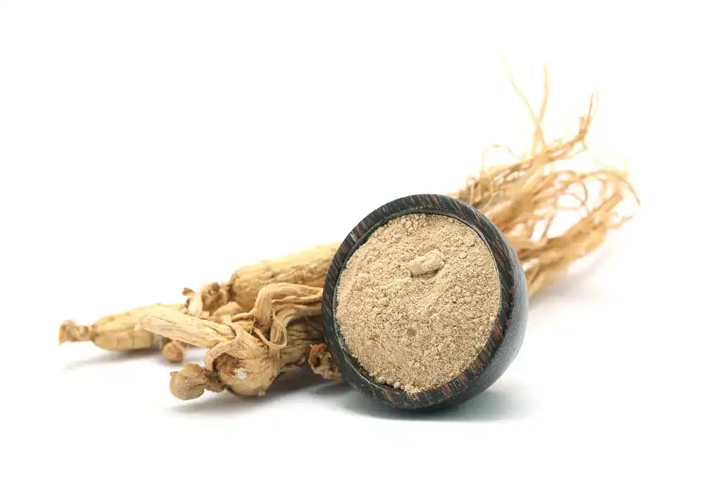 Ginseng-Pulver