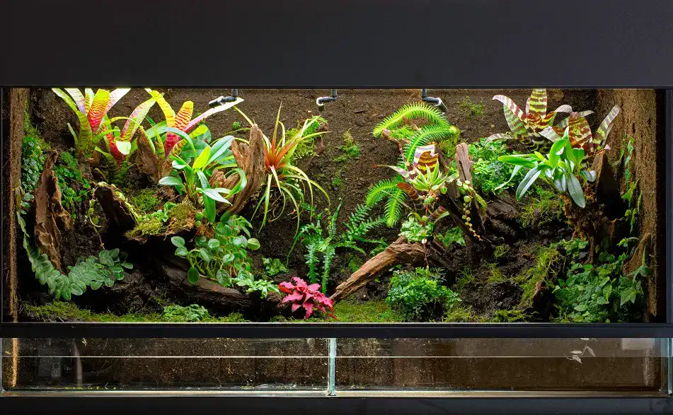 Paludarium