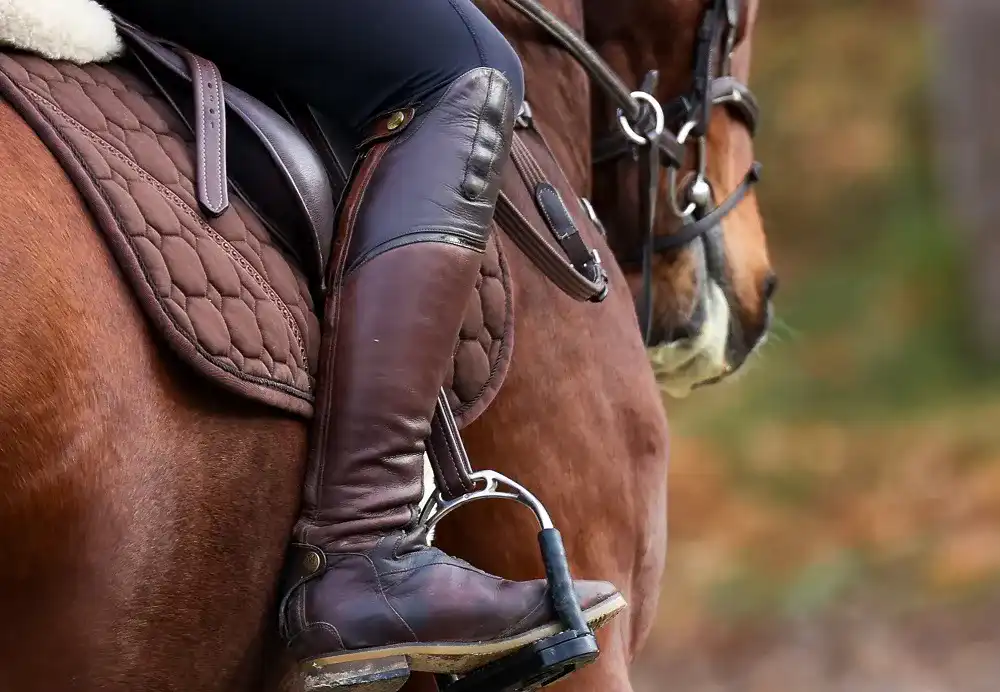 Reitstiefel1