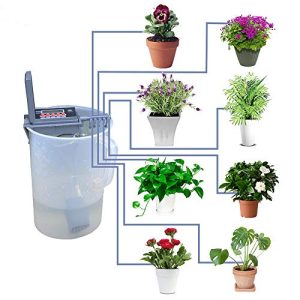Bewässerungssystem Zimmerpflanzen Aqualin