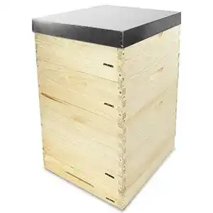 Bienenstock