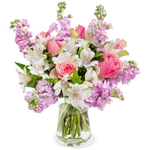 Die beste blumenstrauss blume ideal bluetenmeer violette levkojen pinke rosen Bestsleller kaufen