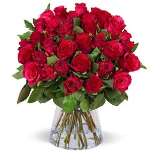 Blumenstrauß Blume Ideal XXL Rosenstrauß, 50 Rote Rosen