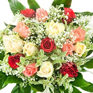 Blumenstrauß Rosenbote Bunter – 15 Rosen und Schleierkraut – Bumo