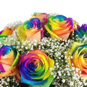 Blumenstrauß Rosenbote Bunter mit 10 Regenbogenrosen