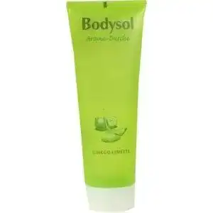 Bodysol-Duschgel BODYSOL Aroma Duschgel Ginkgo Limette 250 ml