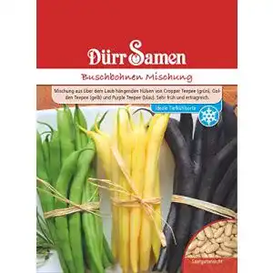 bohnen-samen-duerr-samen-buschbohne-samen-gruen-gelb-blauhuelsige