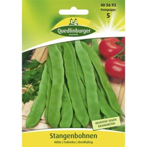 Bohnen-Samen Quedlinburger Stangenbohne