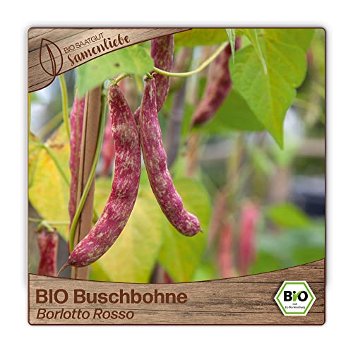 Die beste bohnen samen samenliebe bio buschbohnen samen alte sorte borlotto Bestsleller kaufen