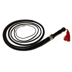 Bullwhip