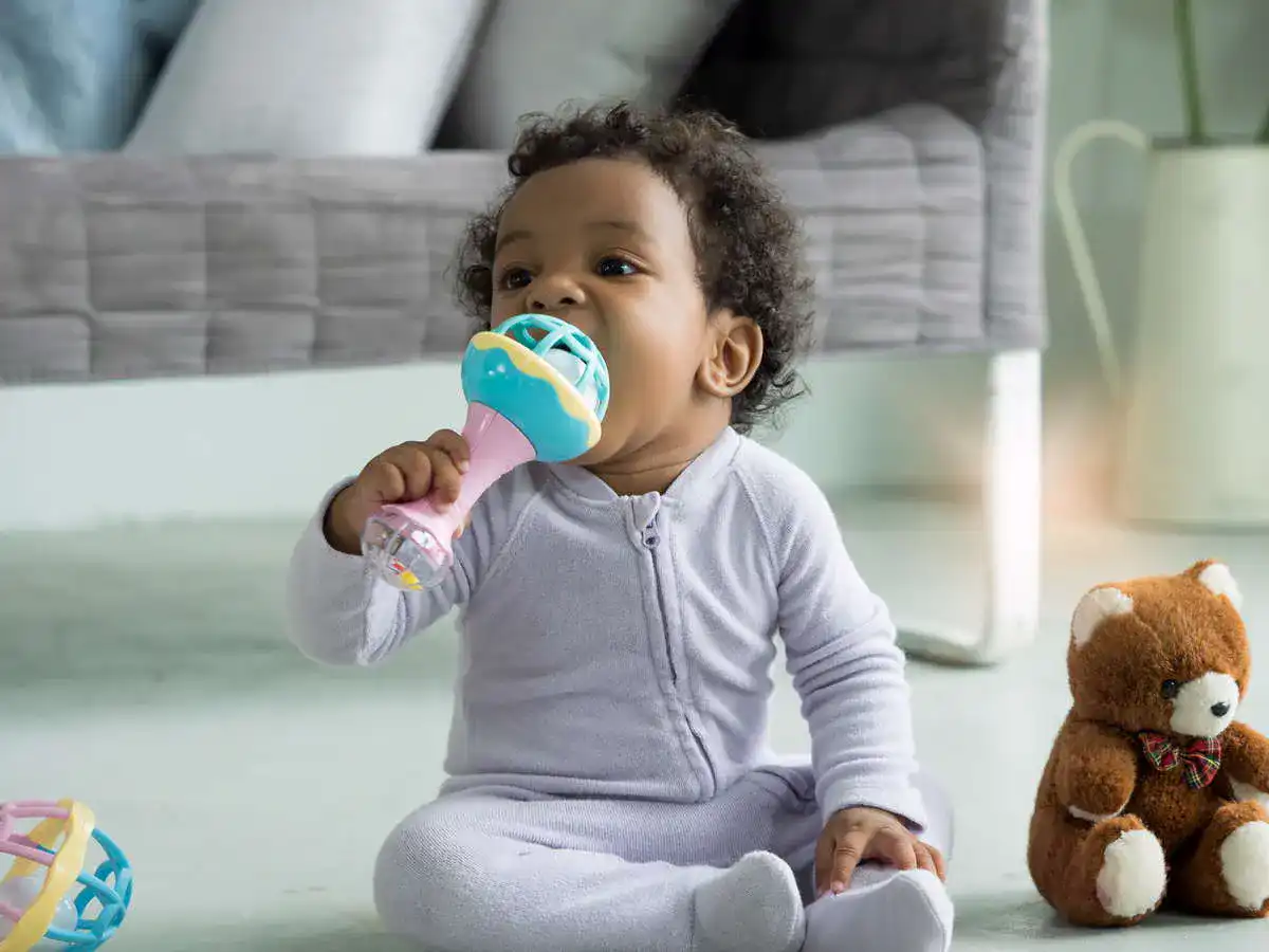 Babyrassel2_1825964315_Test-Vergleich-Testsieger Babyrassel
