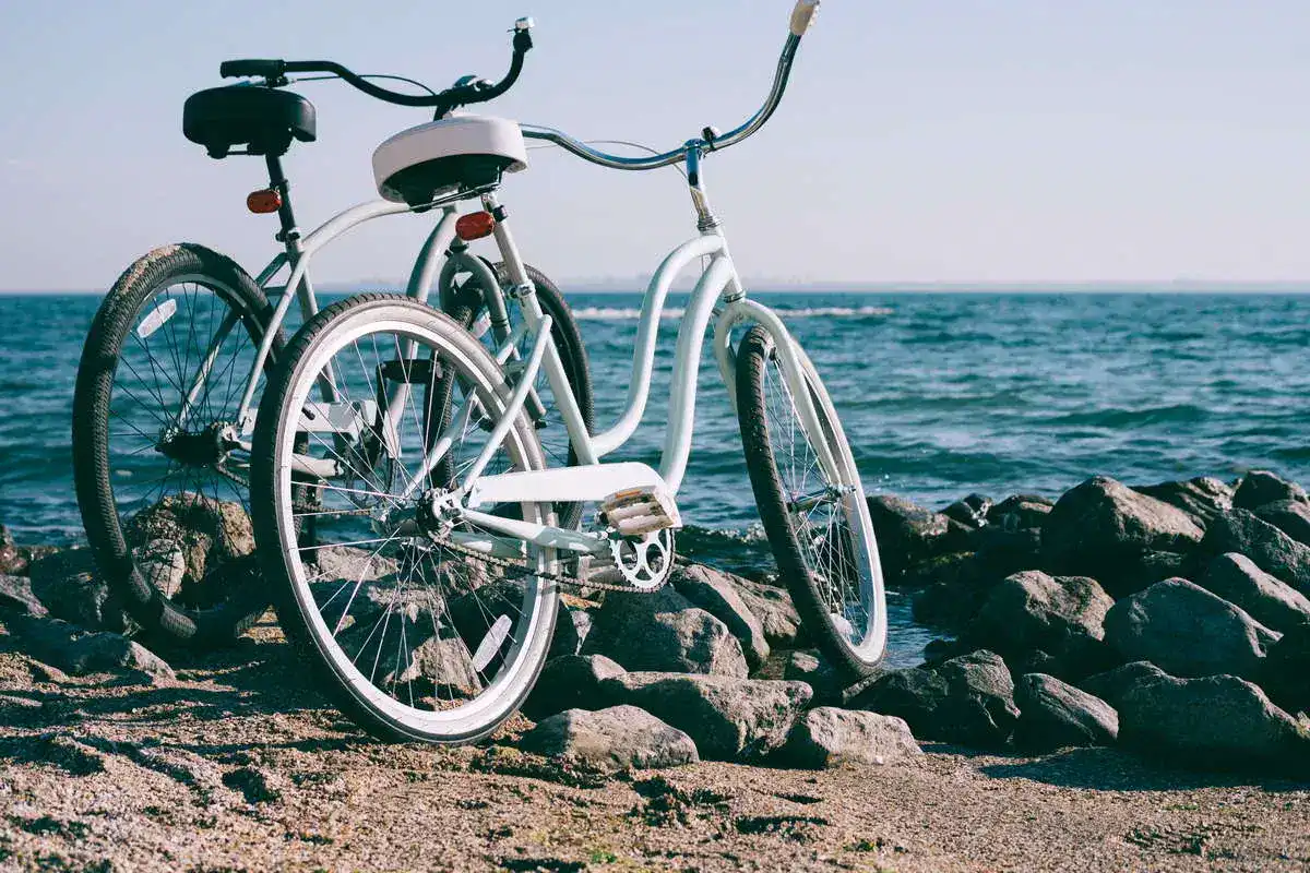 Beach-Cruiser1_665569420_Test-Vergleich-Testsieger Beach-Cruiser