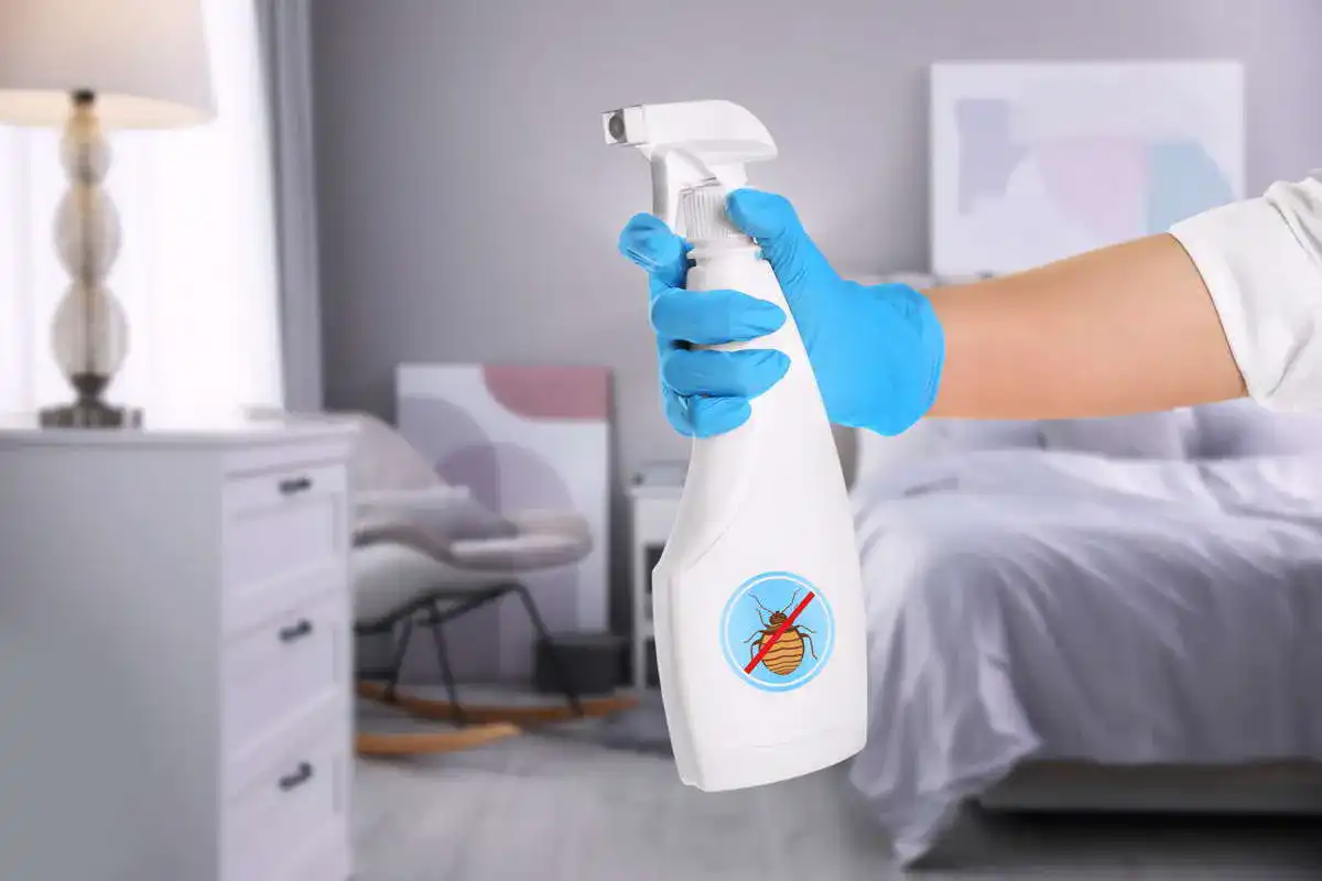 Bettwanzenspray