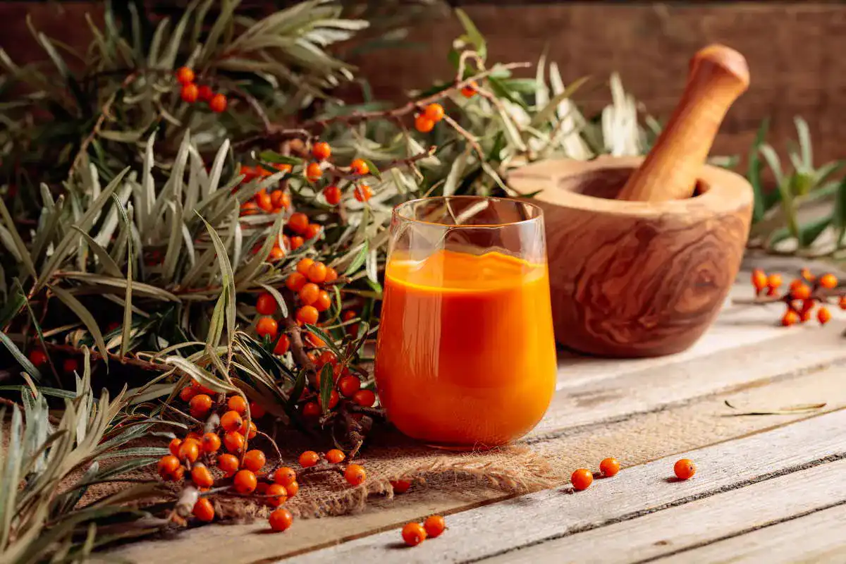 Sanddornsaft2_1822747937_Test-Vergleich-Testsieger Sanddornsaft