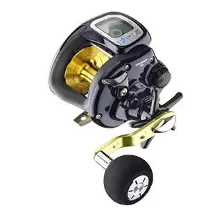 Daiwa-Multirolle