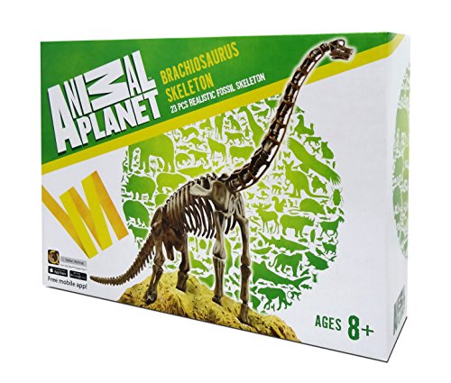 Die beste dinosaurier skelett edu toys brachiosaurus skelett bausatz 23 teile Bestsleller kaufen