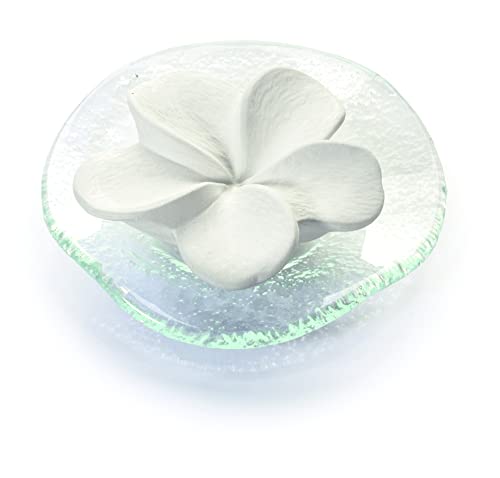 Die beste duftstein primavera frangipanibluete auf glasteller transparent Bestsleller kaufen