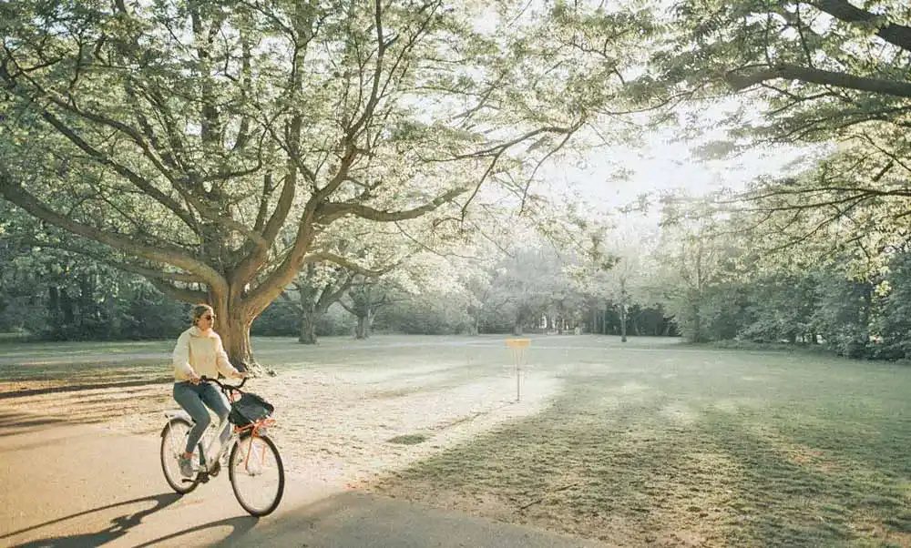 Fahrrad-Dynamo