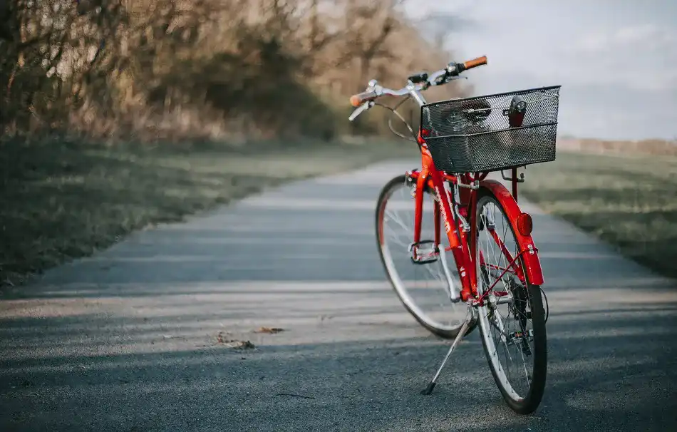 Fahrrad-Dynamo