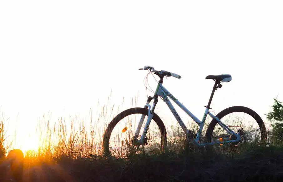 Tubeless-Reifen_1 Tubeless-Reifen