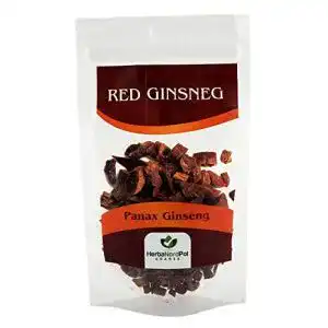 Ginseng-Wurzel HNP Rot Ginseng koreanischer Panax Ginseng