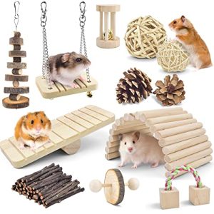 Hamster-Spielzeug ERKOON Hamster Kauspielzeug, 12 Stück Naturholz