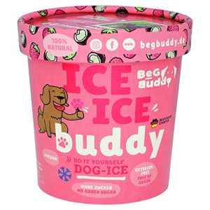 Hundeeis BeG Buddy EIS für Hunde [ohne Zuckerzusatz] als Snack