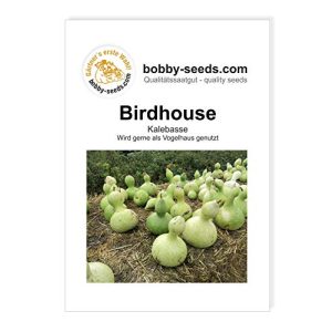 Kalebassen-Samen Gärtner’s erste Wahl! bobby-seeds.com Birdhouse