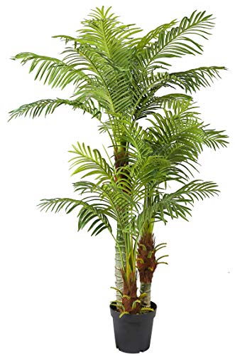 Die beste kunstpalme arnusa grosse kuenstliche palme deluxe 180cm Bestsleller kaufen