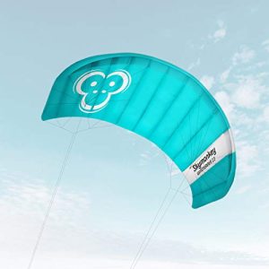 Lenkmatte-4-Leiner Skymonkey Windtrainer 2.3 Trainer-Kite/Lenkmatte