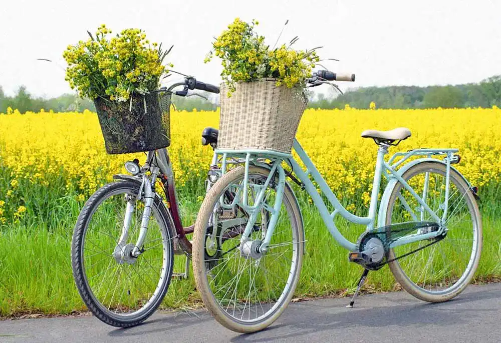 Fahrradkorb