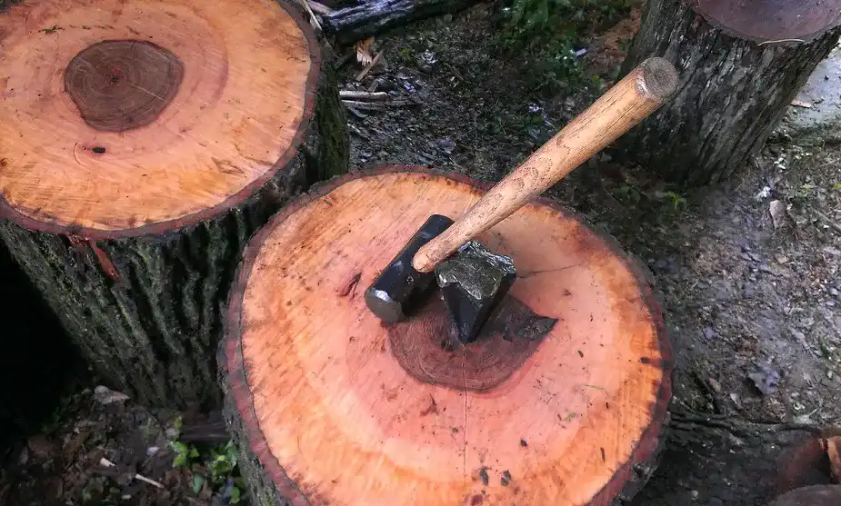 Holzkeil_1 Holzkeil