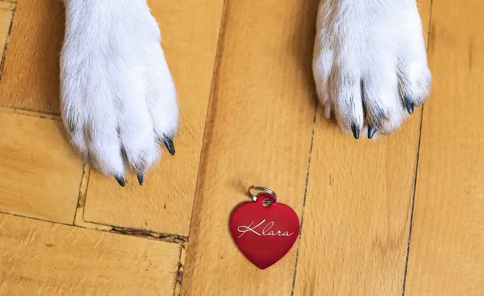 Hundemarke