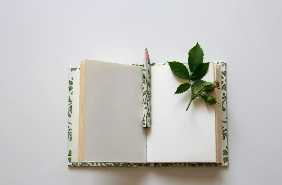 Tagebuch
