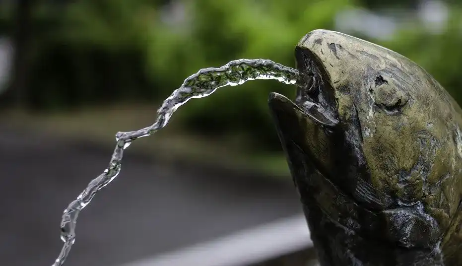 Wasserspeier_1 Wasserspeier