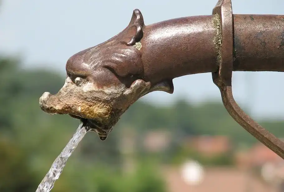 Wasserspeier_2 Wasserspeier