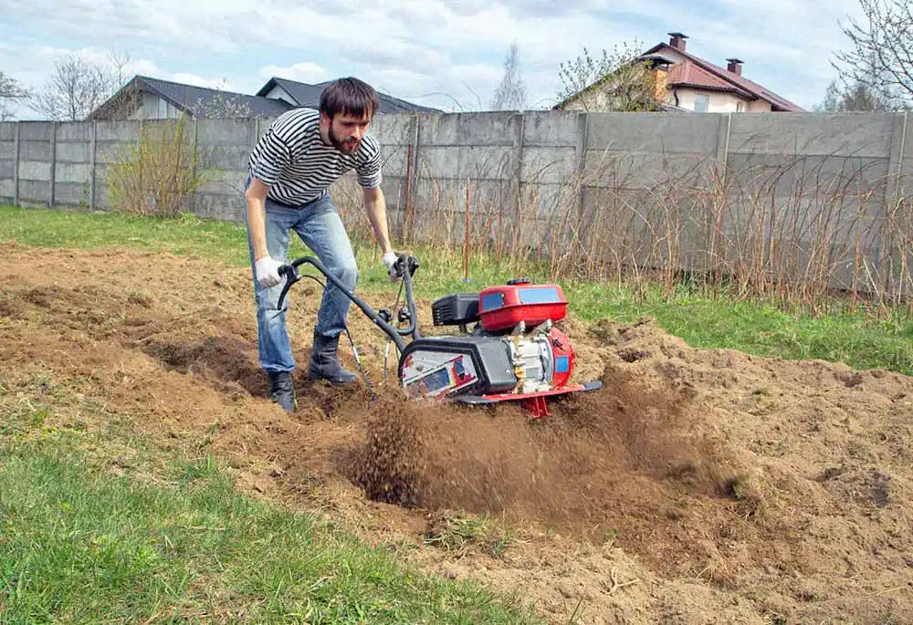 Gartenfraese