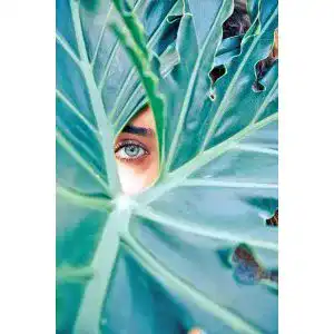 Augenvitamine