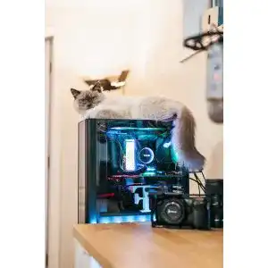 GeForce RTX 3050