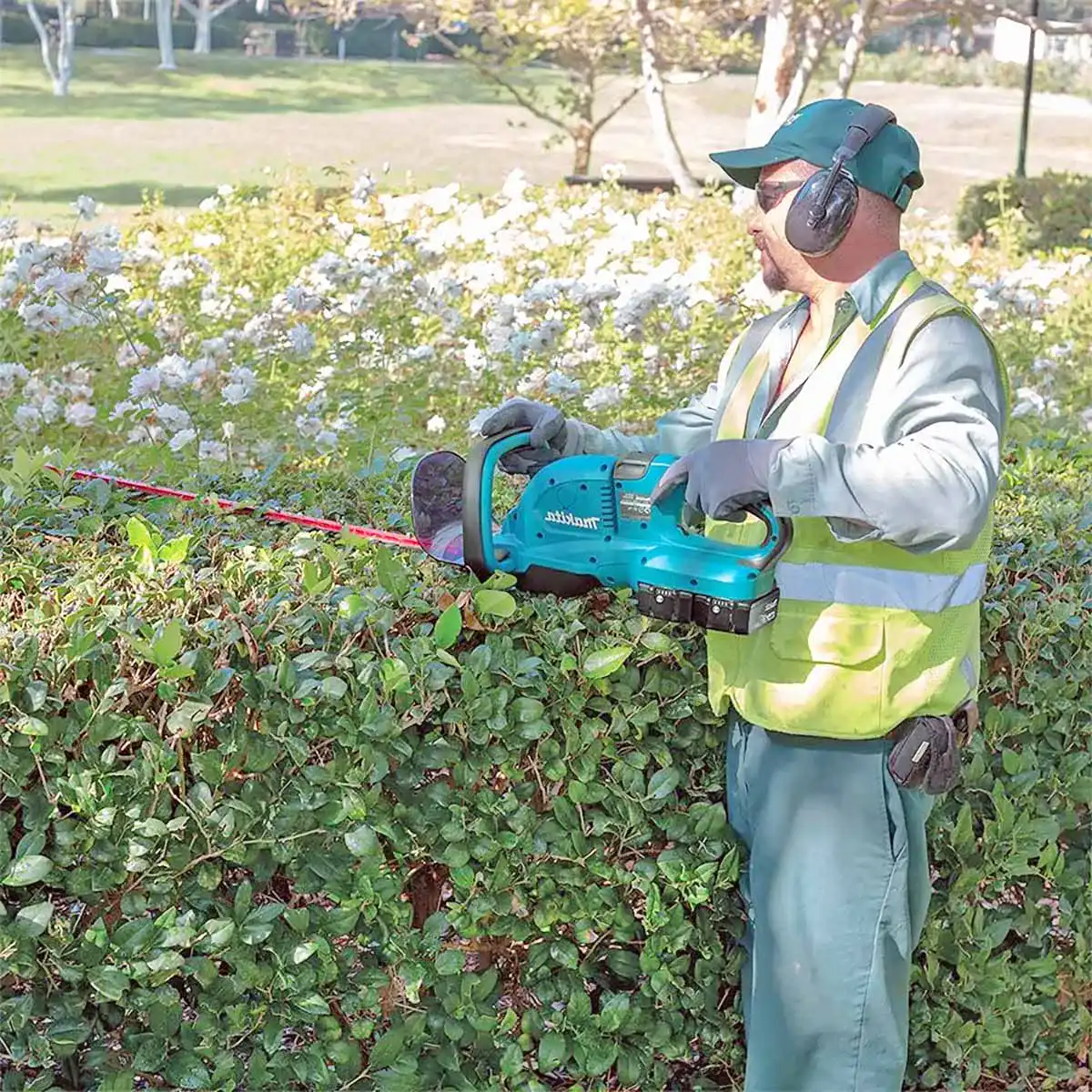 Die beste Makita Akku Heckenschere 4 Bestsleller kaufen