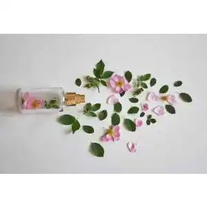 Die beste Pheromon-Parfum 2026 Test Bestseller Pheromon-Parfum