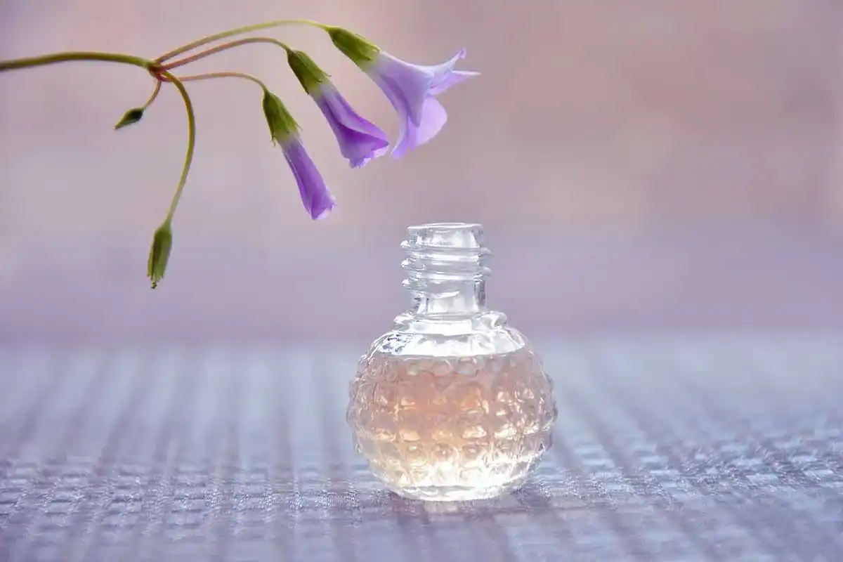 Pheromon-Parfum_2 Pheromon-Parfum