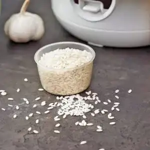 Risotto-Reis