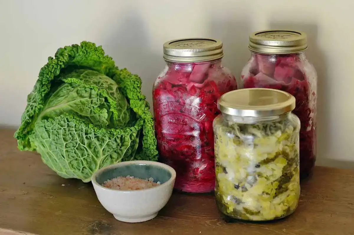 Sauerkraut_1