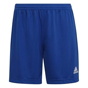 Adidas-Shorts Damen adidas Fußball – Teamsport Textil – Shorts