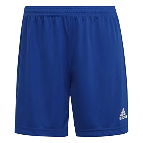 Die beste adidas shorts damen adidas fussball teamsport textil shorts Bestsleller kaufen