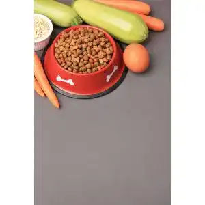 Die beste Biotin für Hunde 2026 Test Bestseller Biotin-fuer-Hunde