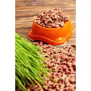 Die beste Biotin für Hunde 2026 Test Bestseller Biotin-fuer-Hunde